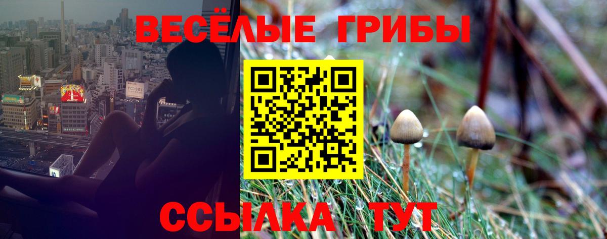 Кизилюрт  Галлюциногенные грибы мухоморы  Вход с VPN  Псилоцибиновые грибы мицелий 