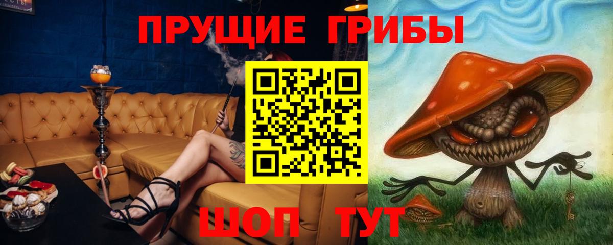 Галлюциногенные грибы мицелий Кизилюрт